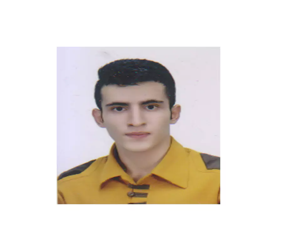 مبین علی زاده